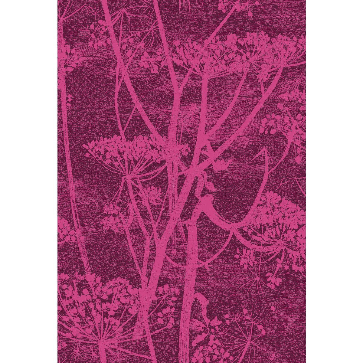 COLE & SON COW PARSLEY PRINT MAGENTA/PALM