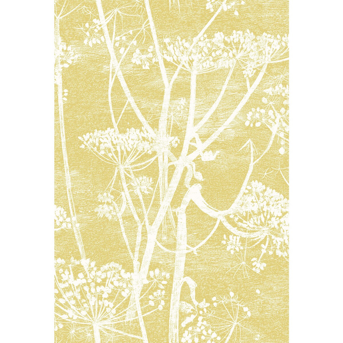 COLE & SON COW PARSLEY LINEN PRINT WHITE/CHARTRE