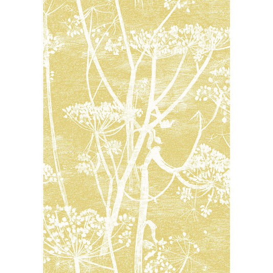 COLE & SON COW PARSLEY LINEN PRINT WHITE/CHARTRE