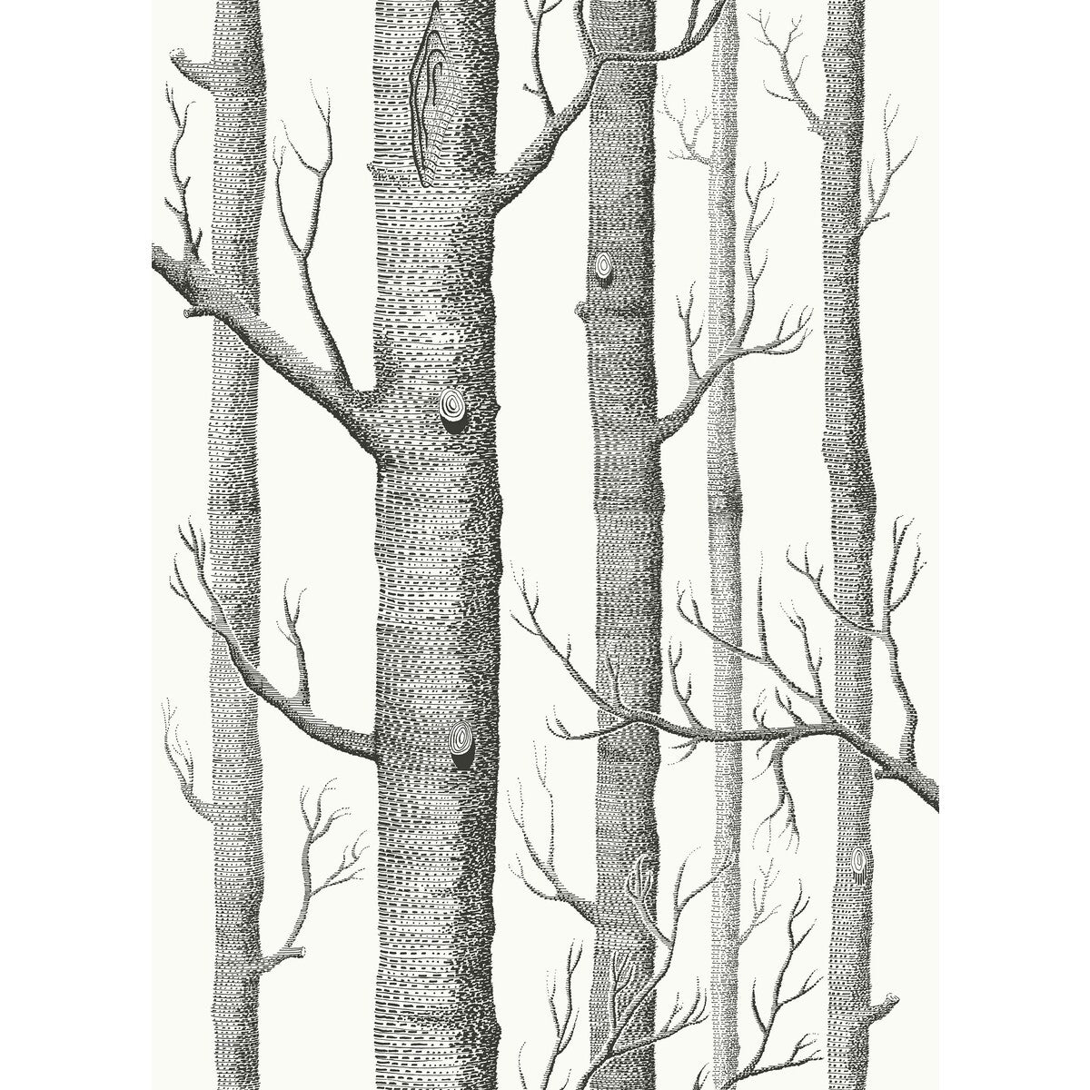 COLE & SON WOODS COT/LIN PRINT BLK WHT
