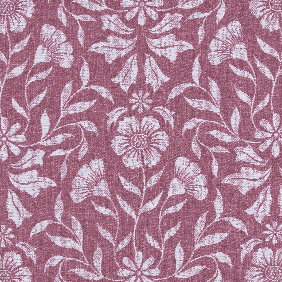 CLARKE AND CLARKE BERKELEY RASPBERRY