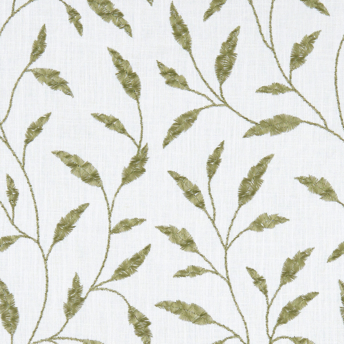 CLARKE AND CLARKE FAIRFORD OLIVE