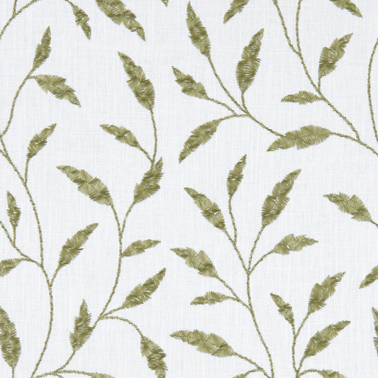 CLARKE AND CLARKE FAIRFORD OLIVE