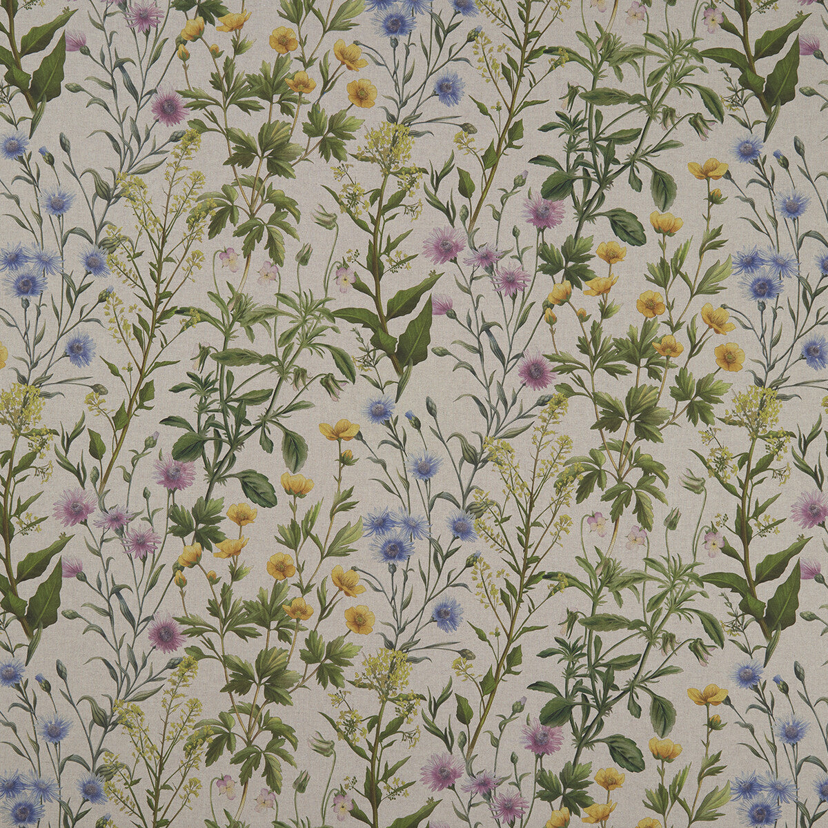 CLARKE AND CLARKE BUTTERCUP LINEN