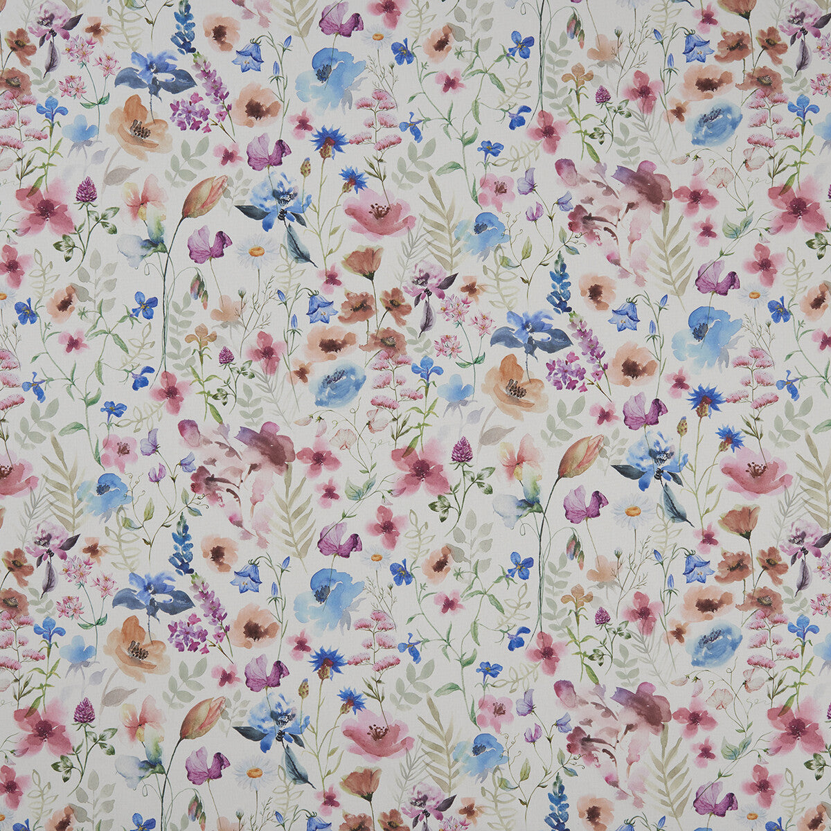CLARKE AND CLARKE LOLITA MULTI/CREAM
