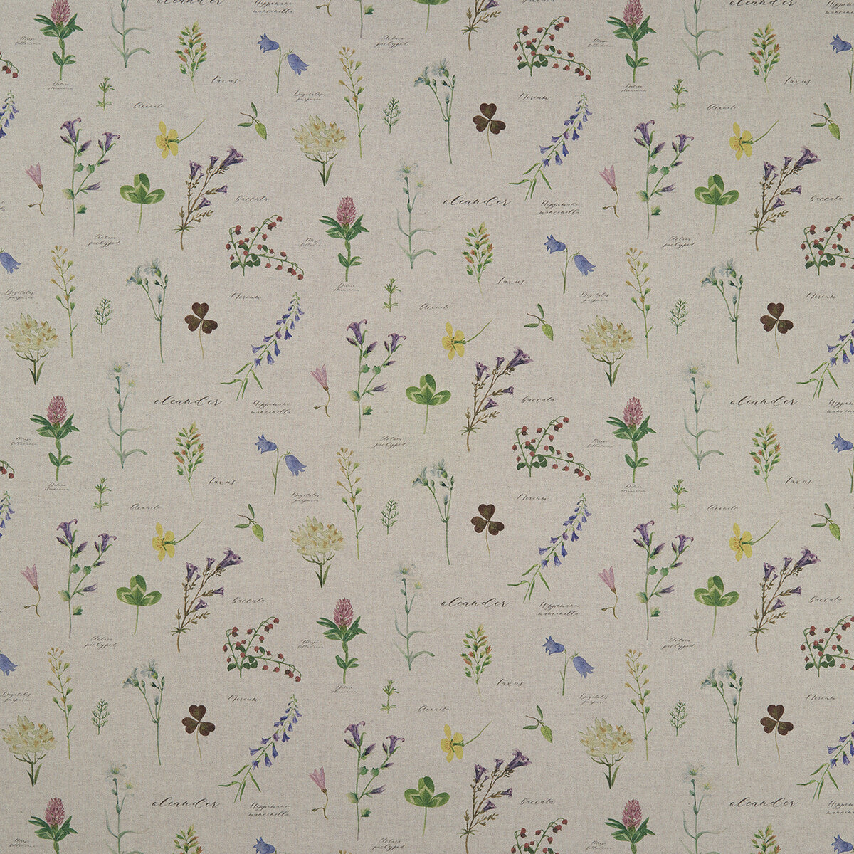 CLARKE AND CLARKE NERIUM LINEN