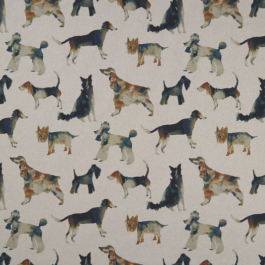 CLARKE AND CLARKE WALKIES LINEN