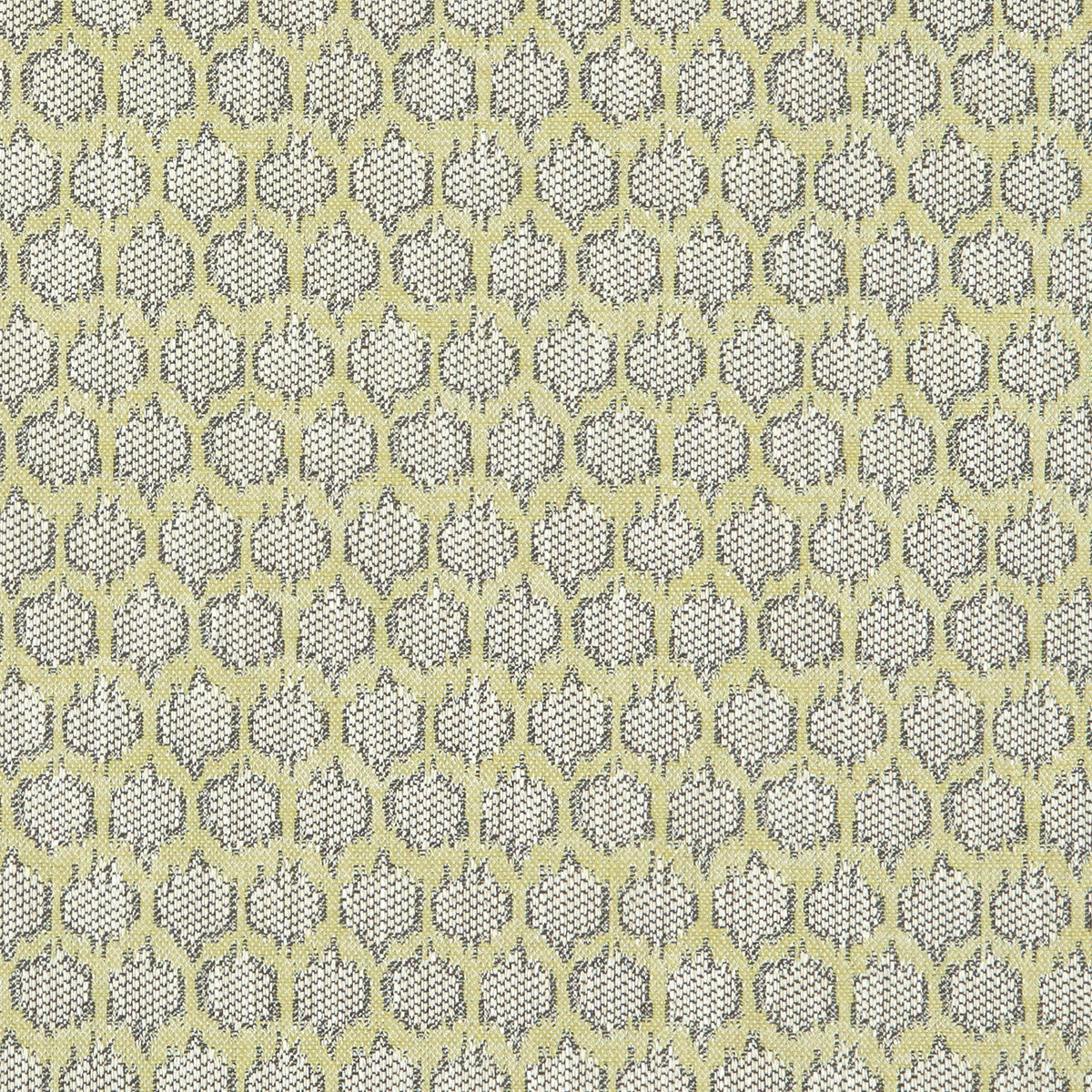 CLARKE AND CLARKE DORSET CITRON