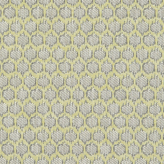 CLARKE AND CLARKE DORSET CITRON