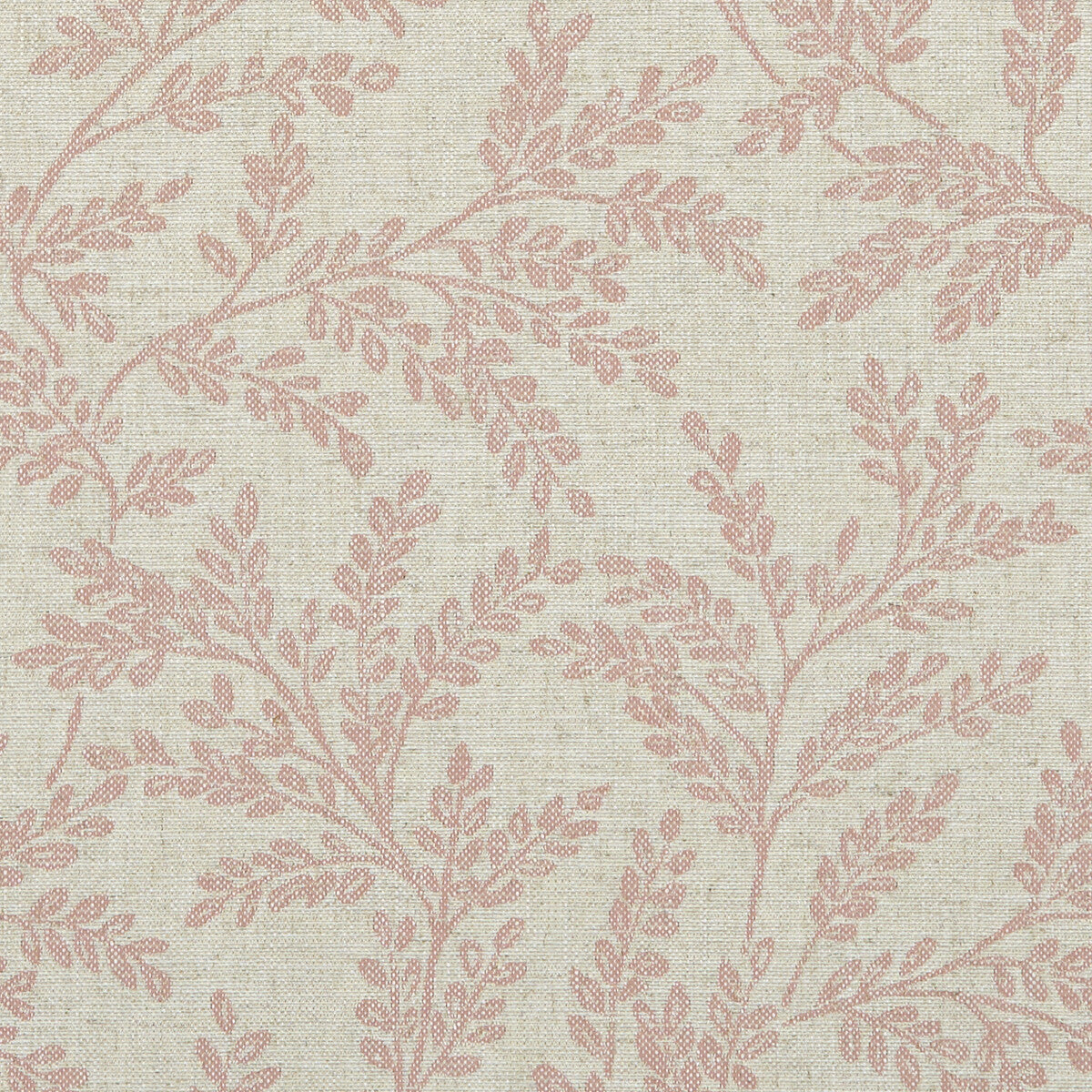 CLARKE AND CLARKE FERNDOWN BLUSH