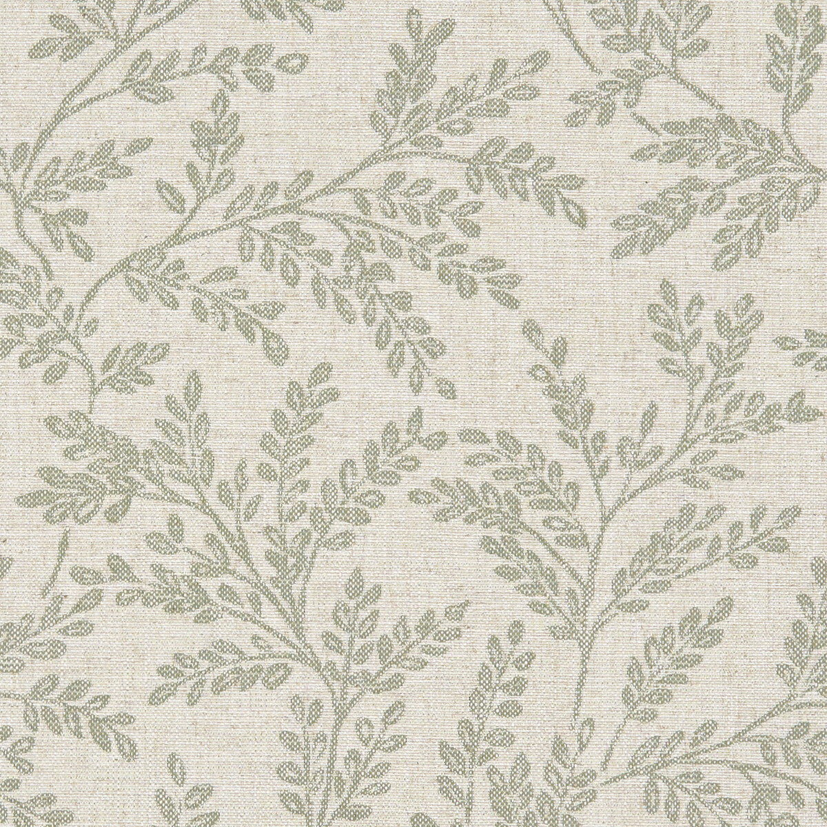 CLARKE AND CLARKE FERNDOWN SAGE