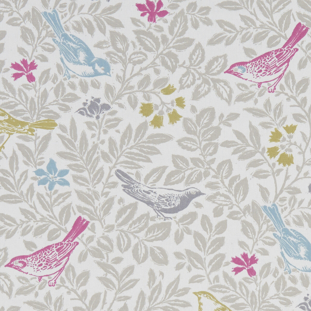 CLARKE AND CLARKE BIRD SONG SUMMER