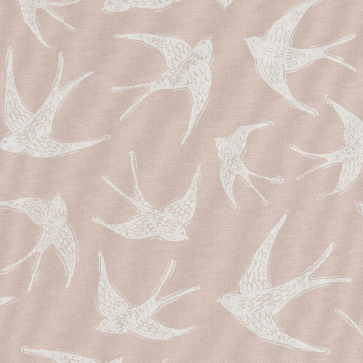 CLARKE AND CLARKE FLY AWAY SORBET