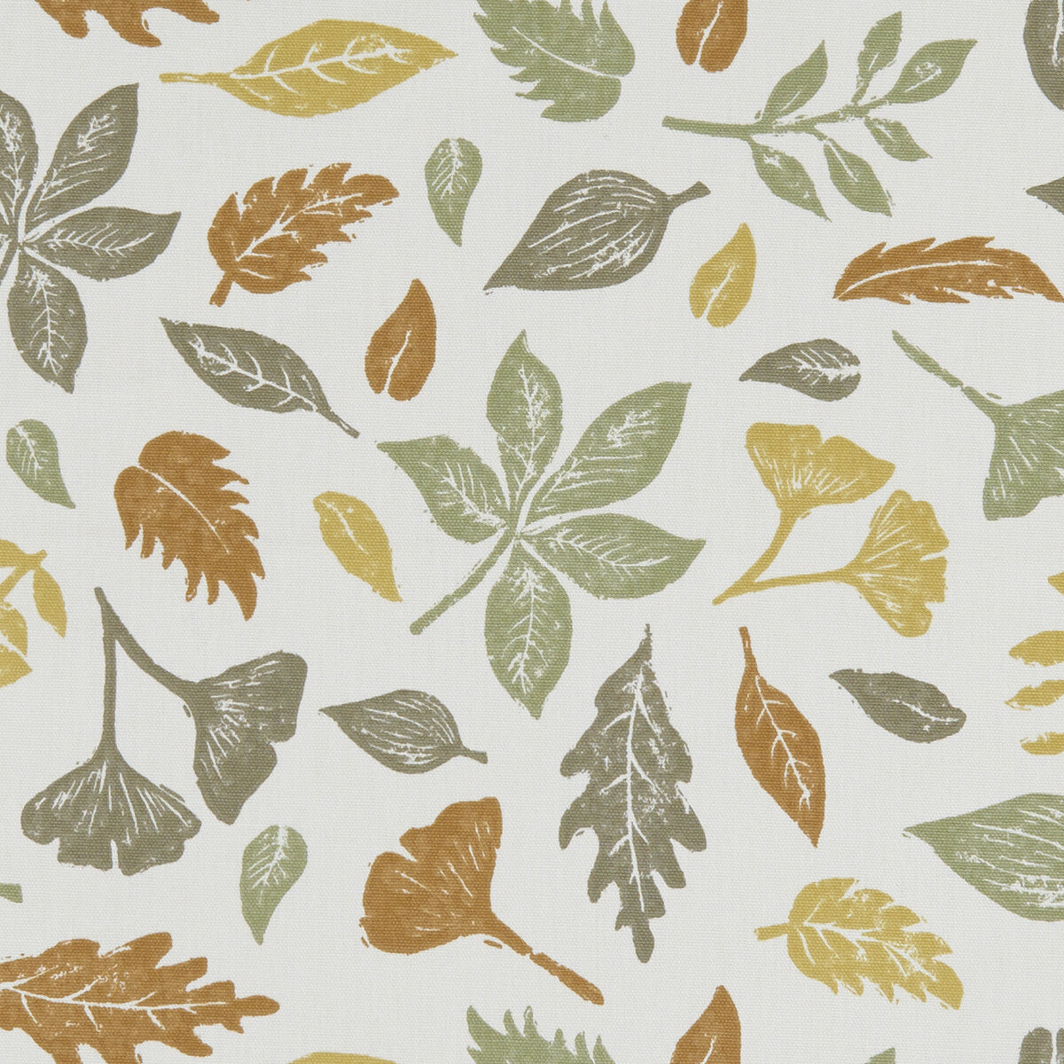 CLARKE AND CLARKE HAWTHORN AUTUMN