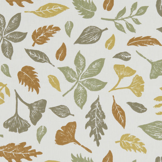 CLARKE AND CLARKE HAWTHORN AUTUMN