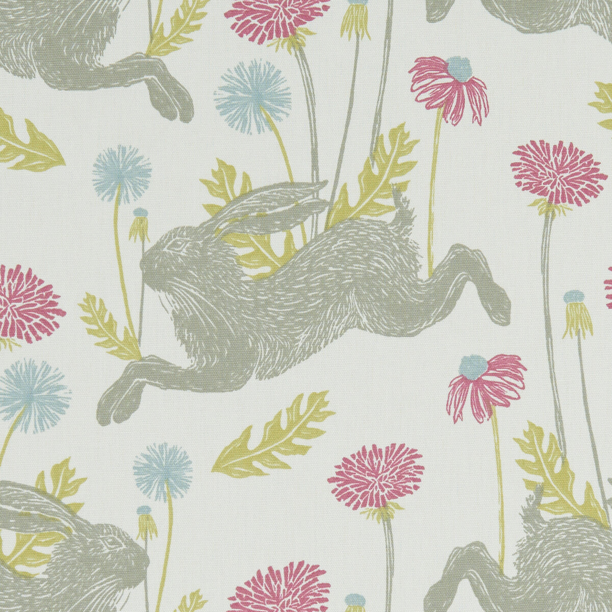 CLARKE AND CLARKE MARCH HARE SUMMER