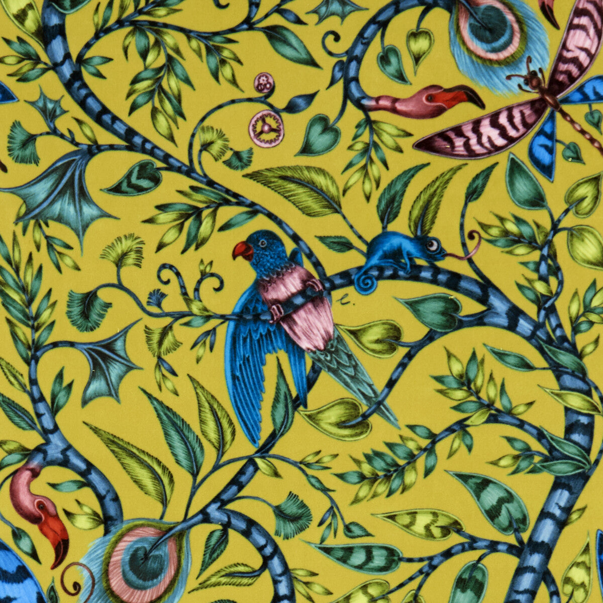 CLARKE AND CLARKE ROUSSEAU VELVET LIME