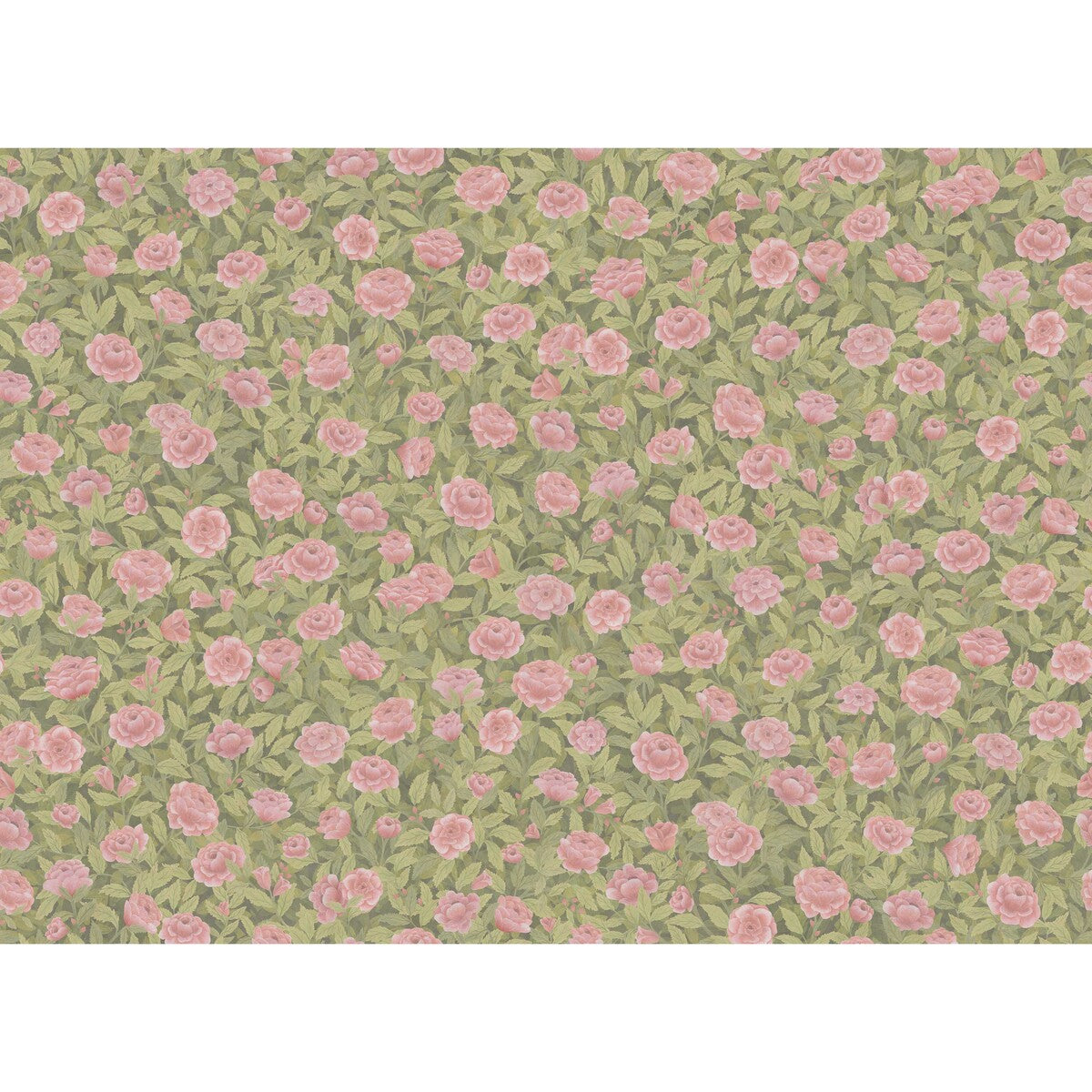 COLE & SON IDYLL ROSES LINEN BLUSH