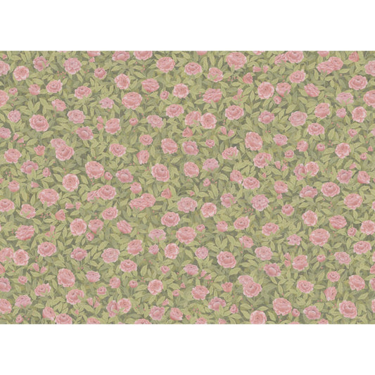 COLE & SON IDYLL ROSES LINEN BLUSH