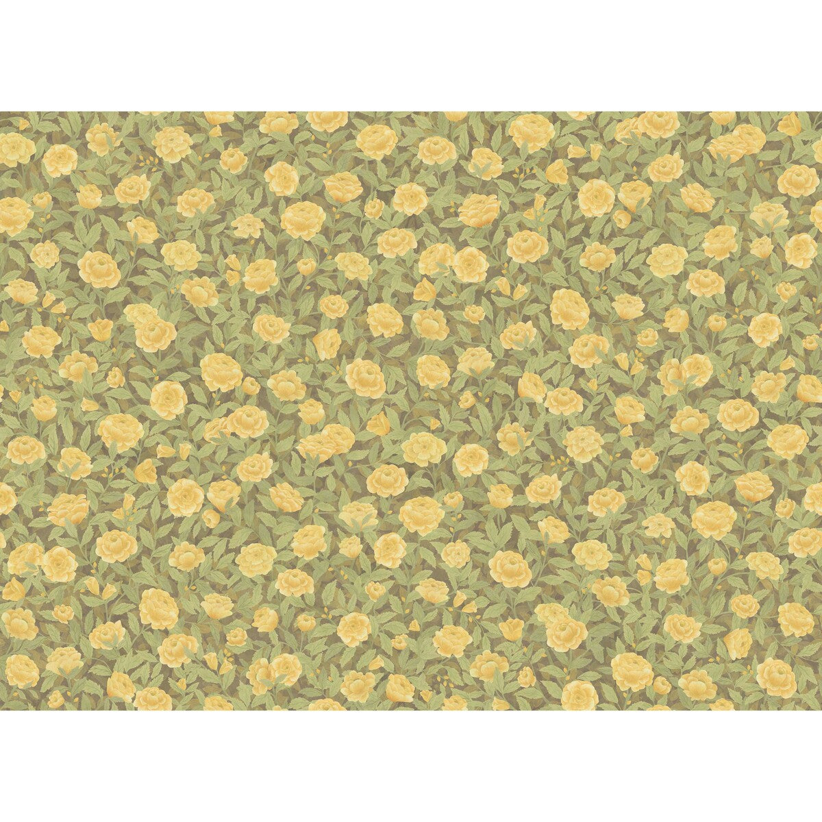 COLE & SON IDYLL ROSES LINEN HONEY