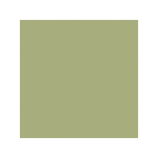 COLE & SON COLOR BOX VELVET SAGE