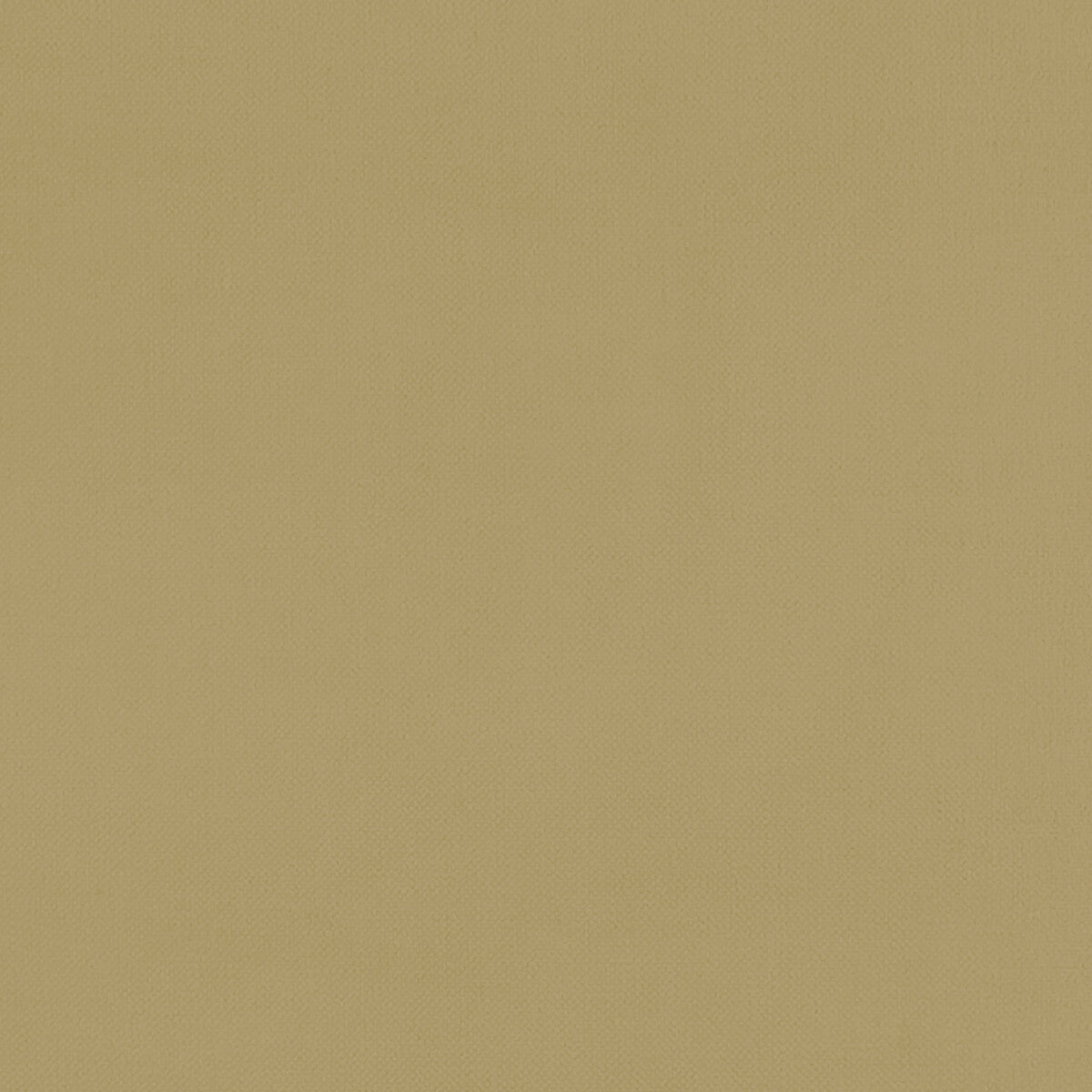 CLARKE AND CLARKE RENZO OCHRE