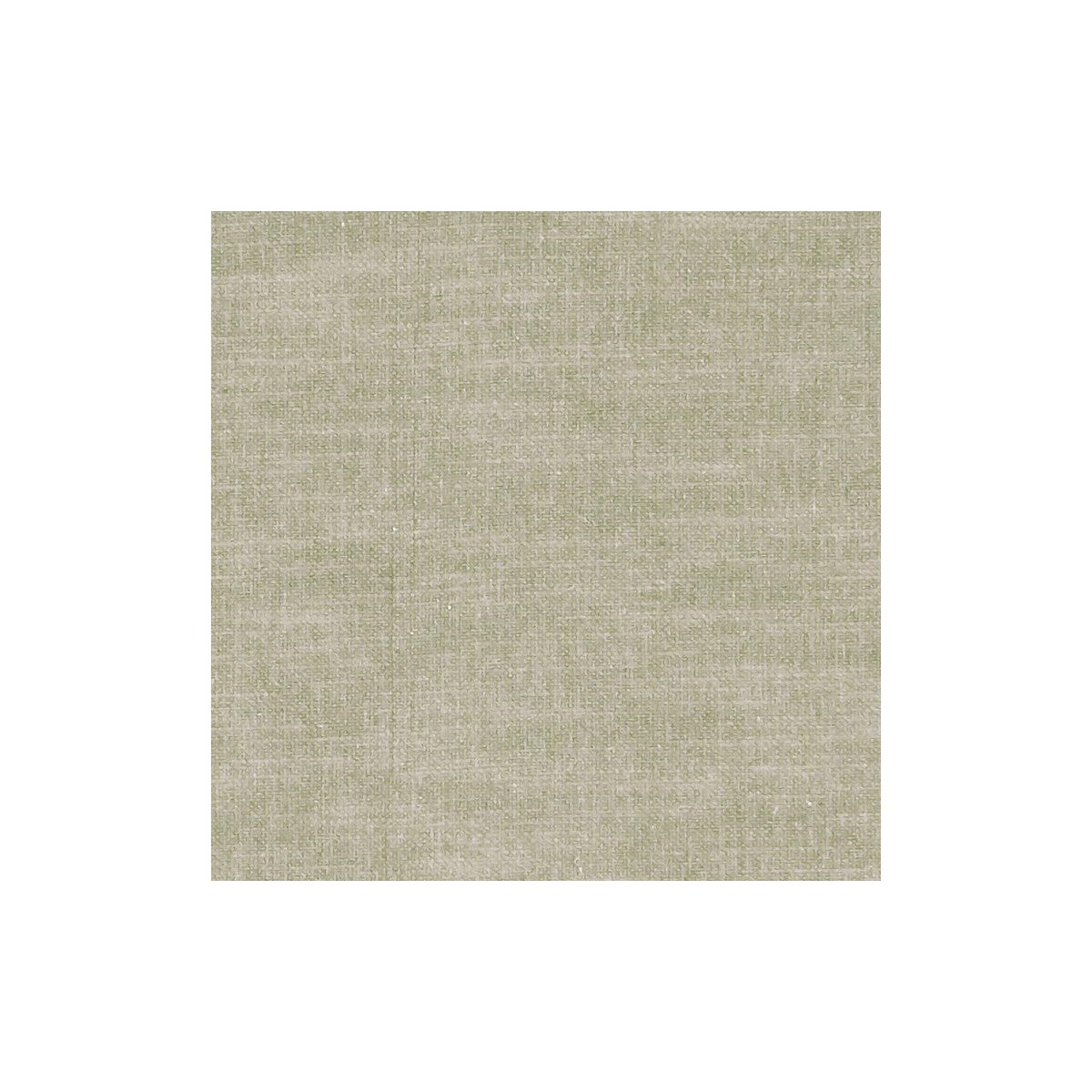 CLARKE AND CLARKE AMALFI BIRCH