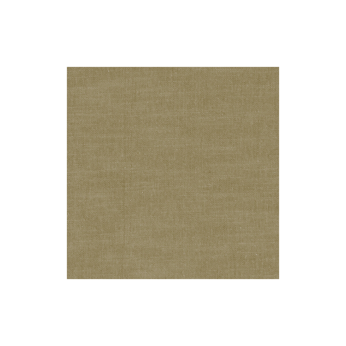 CLARKE AND CLARKE AMALFI OLIVE