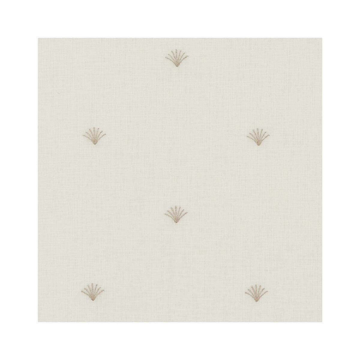 CLARKE AND CLARKE FINO IVORY/ROSE GOLD