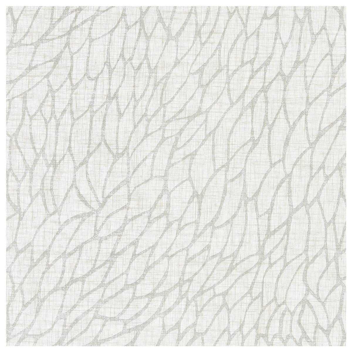 CLARKE AND CLARKE CORALLINO SHEER CHALK/SILVER