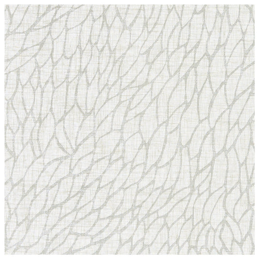 CLARKE AND CLARKE CORALLINO SHEER CHALK/SILVER
