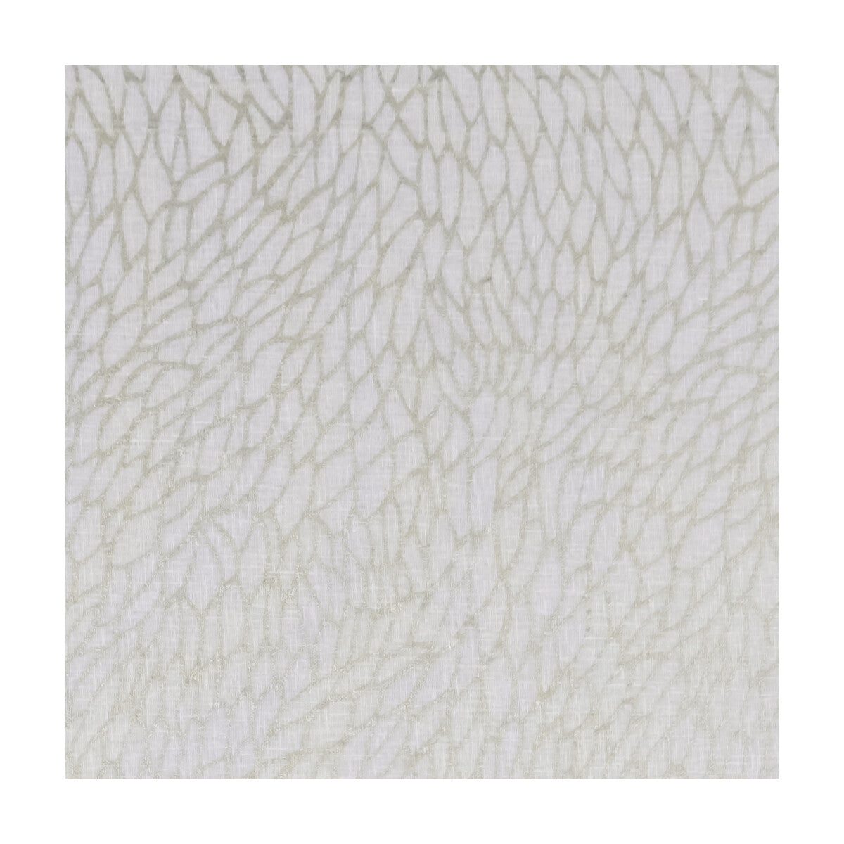 CLARKE AND CLARKE CORALLINO SHEER CHAMPAGNE/GOLD