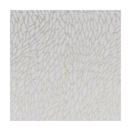 CLARKE AND CLARKE CORALLINO SHEER CHAMPAGNE/GOLD