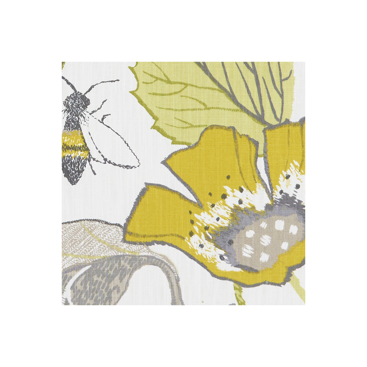 CLARKE AND CLARKE LOTUS CHARTREUSE/CHARCOAL