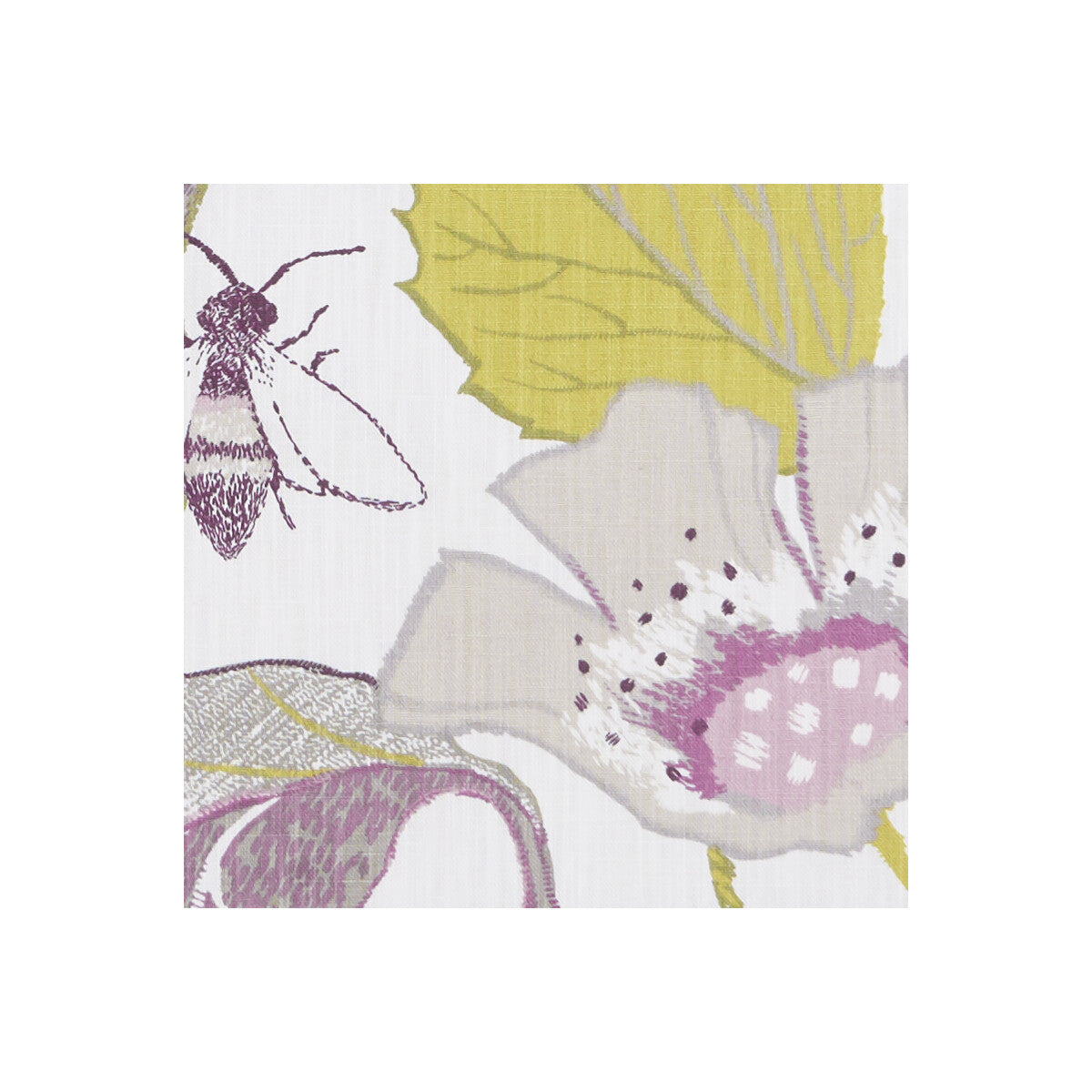 CLARKE AND CLARKE LOTUS DAMSON/JADE