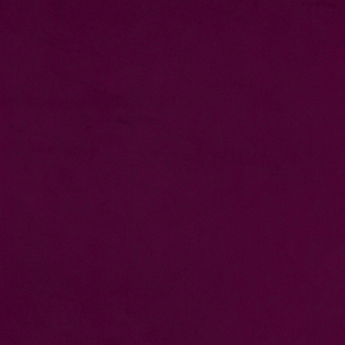 CLARKE AND CLARKE LUCCA MAGENTA