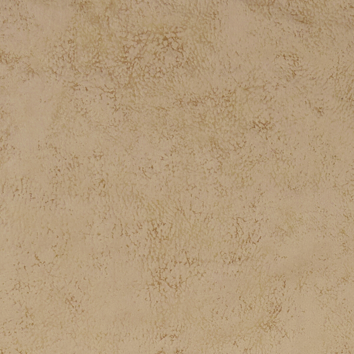 CLARKE AND CLARKE NOLA TAUPE