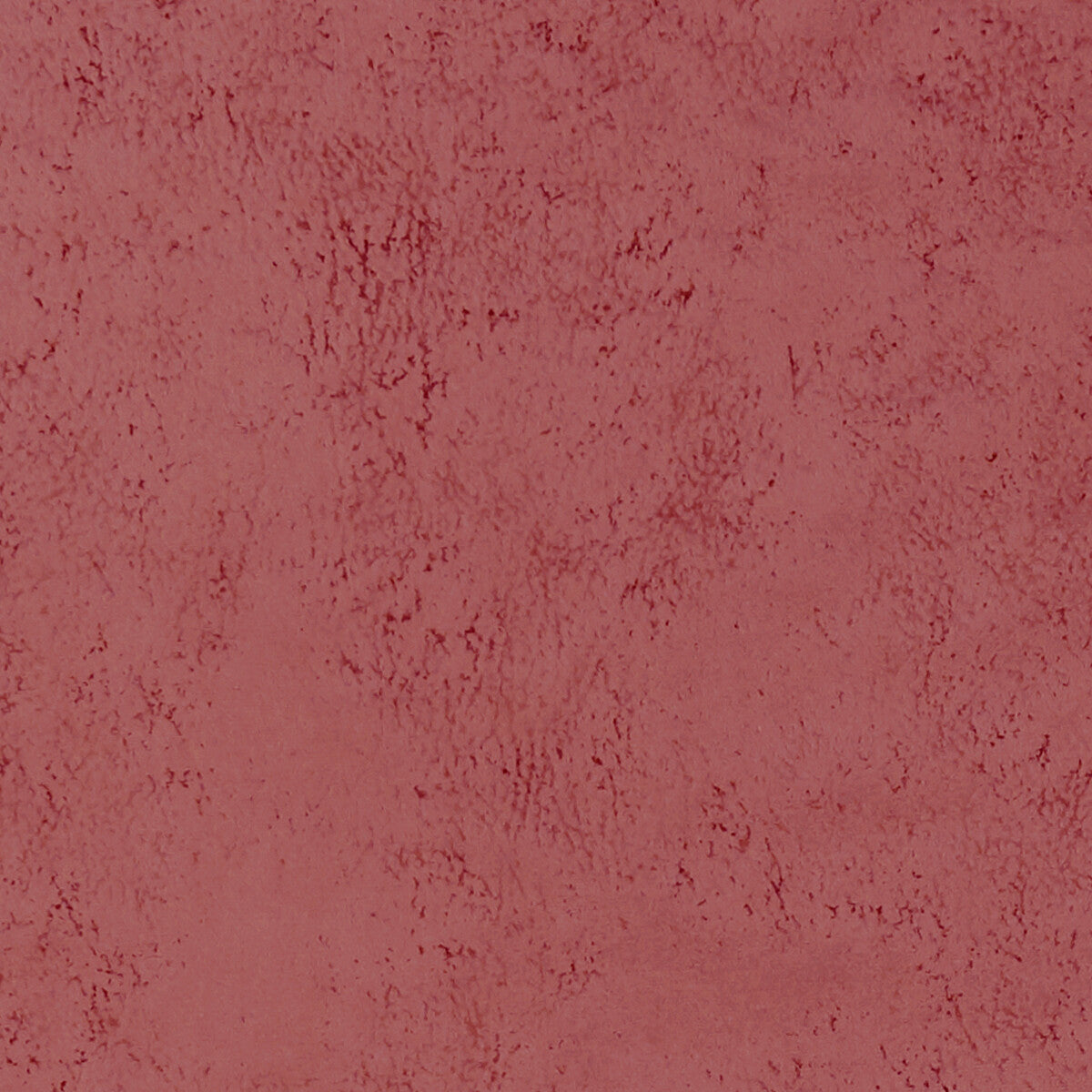 CLARKE AND CLARKE NOLA BLUSH