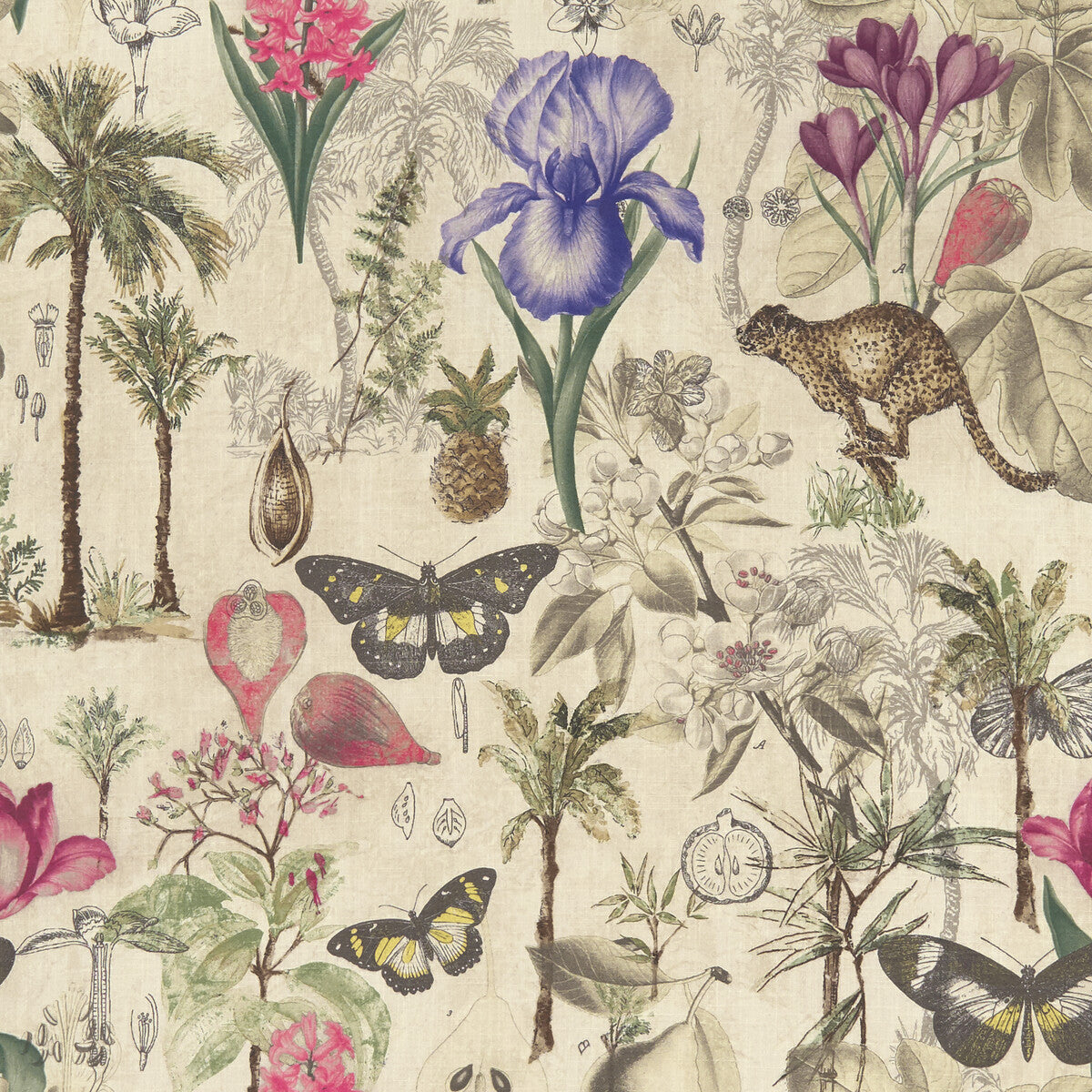 CLARKE AND CLARKE BOTANY SUMMER