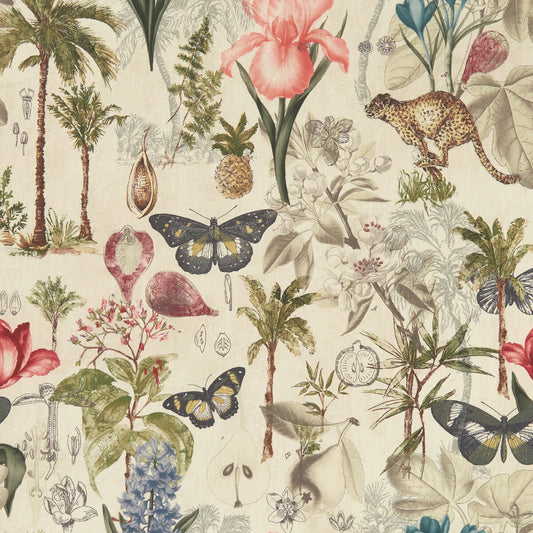 CLARKE AND CLARKE BOTANY TROPICAL