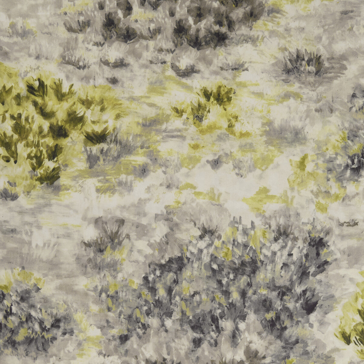 CLARKE AND CLARKE FIORE CHARCOAL/CHARTREUSE