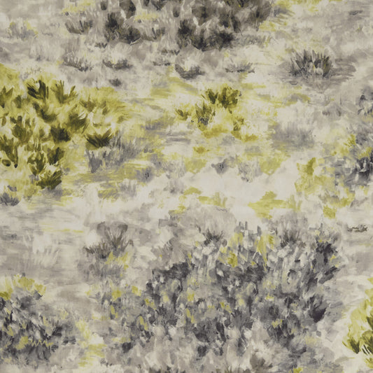 CLARKE AND CLARKE FIORE CHARCOAL/CHARTREUSE