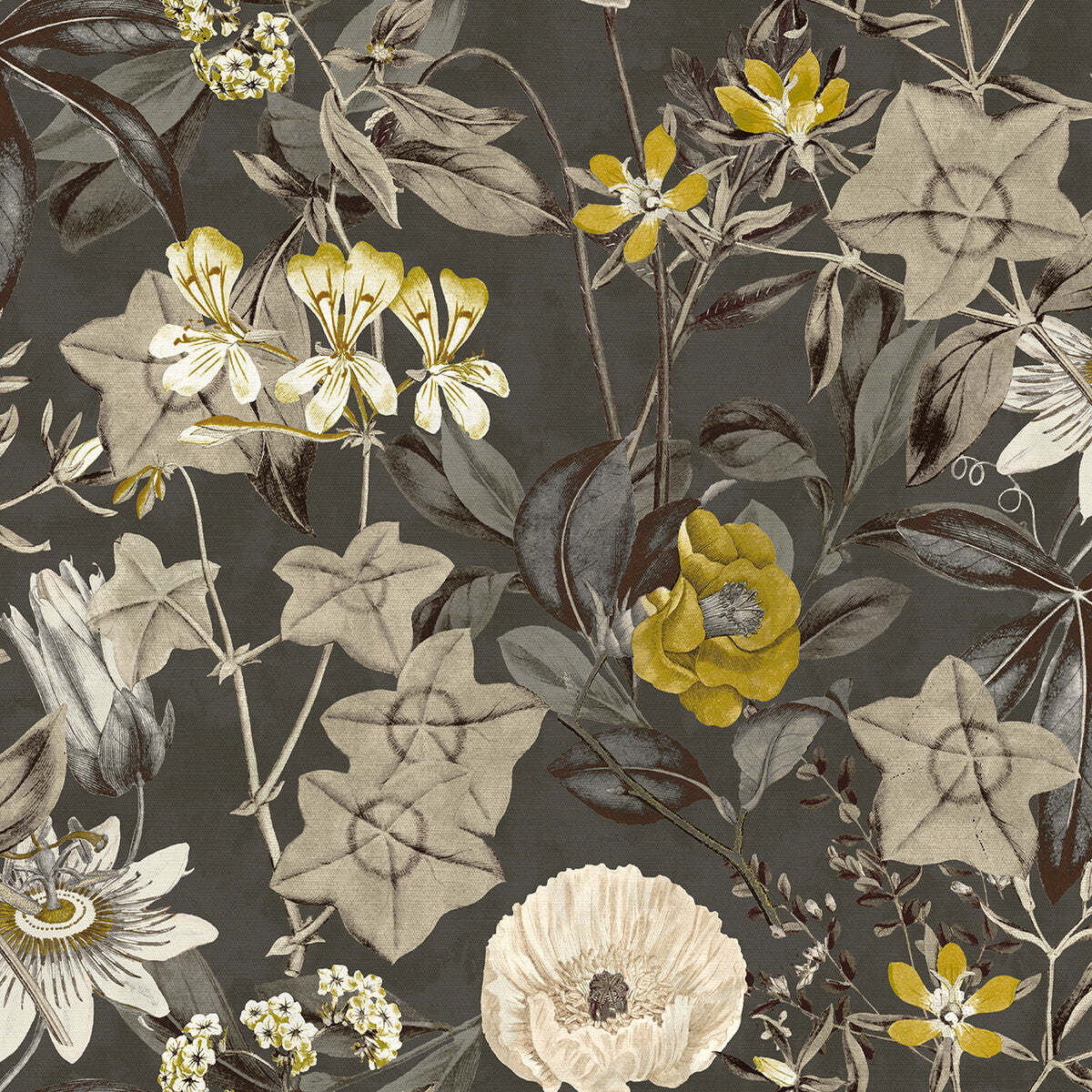 CLARKE AND CLARKE PASSIFLORA CHARCOAL