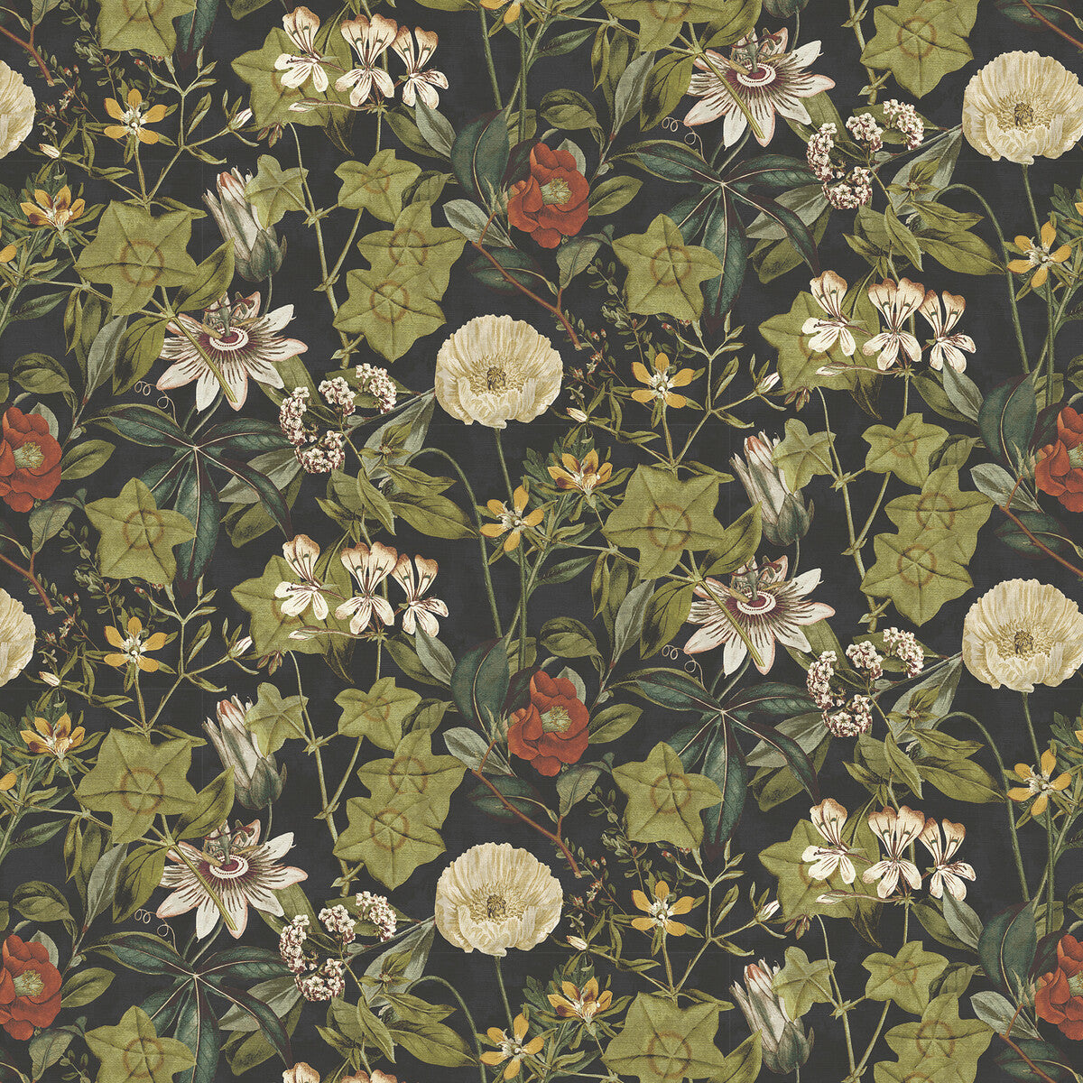 CLARKE AND CLARKE PASSIFLORA NOIR VELVET