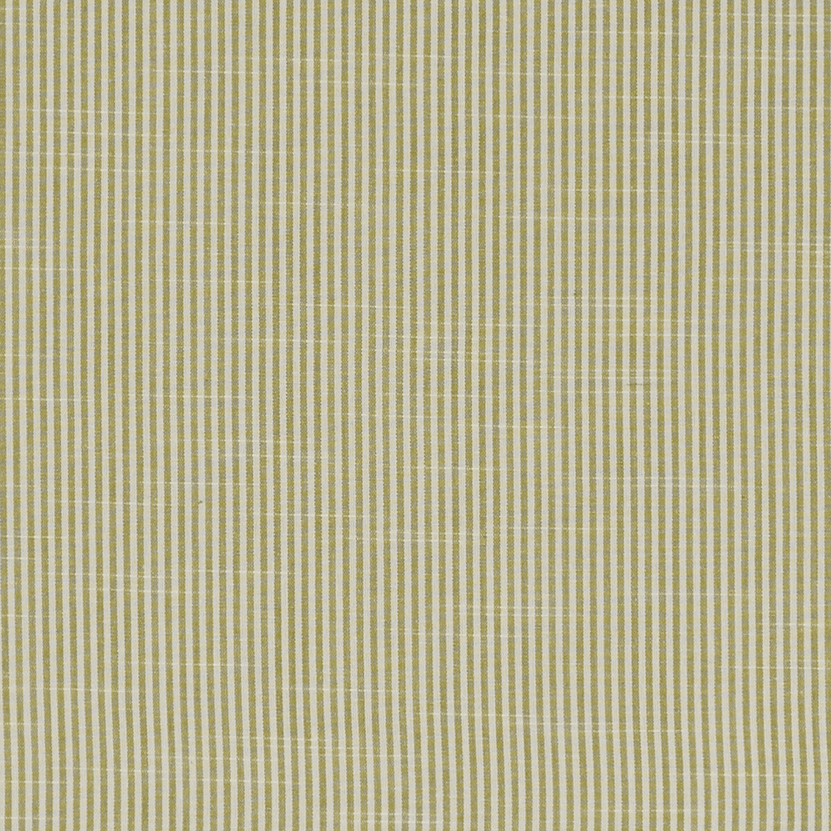 CLARKE AND CLARKE BEMPTON OLIVE