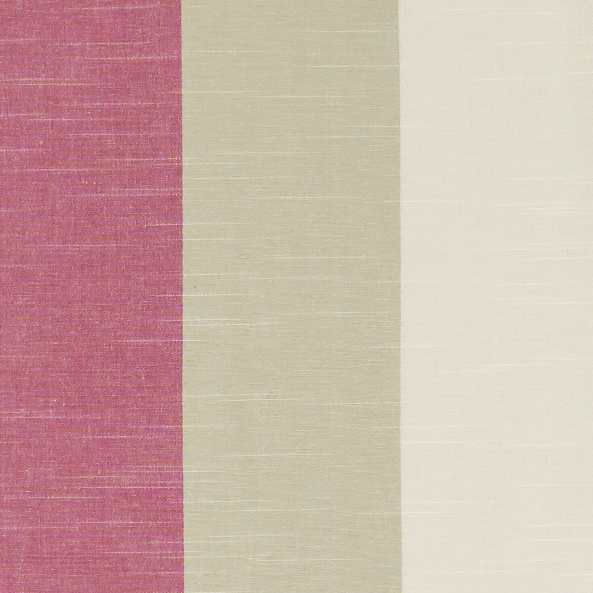 CLARKE AND CLARKE BUCKTON FUCHSIA