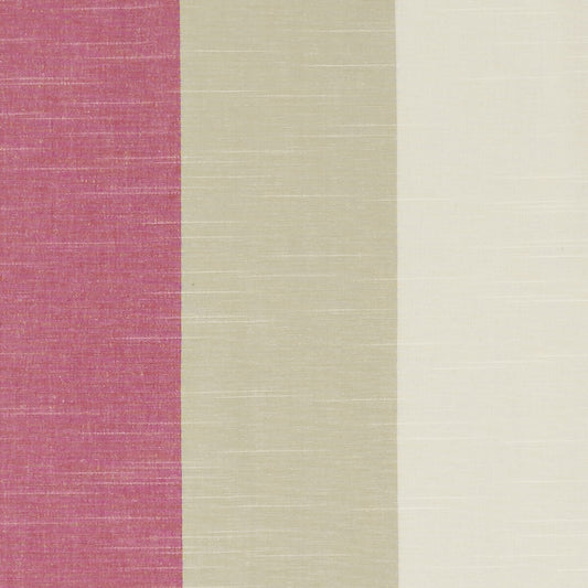 CLARKE AND CLARKE BUCKTON FUCHSIA