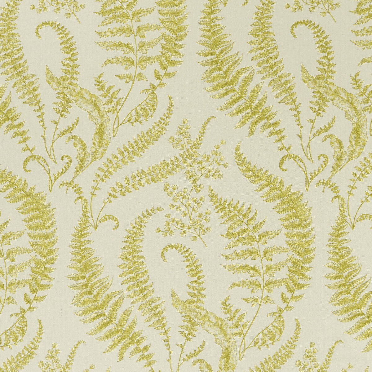 CLARKE AND CLARKE FOLIUM CHARTREUSE