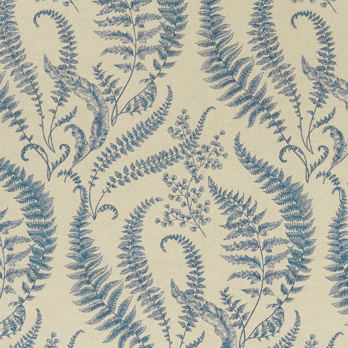 CLARKE AND CLARKE FOLIUM DENIM