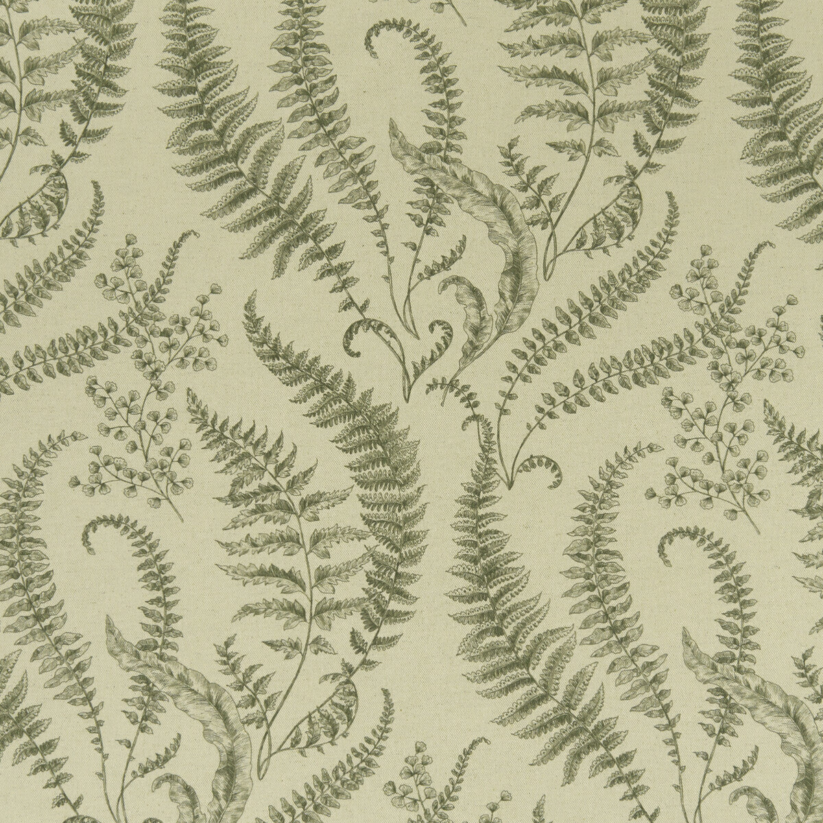 CLARKE AND CLARKE FOLIUM FOREST